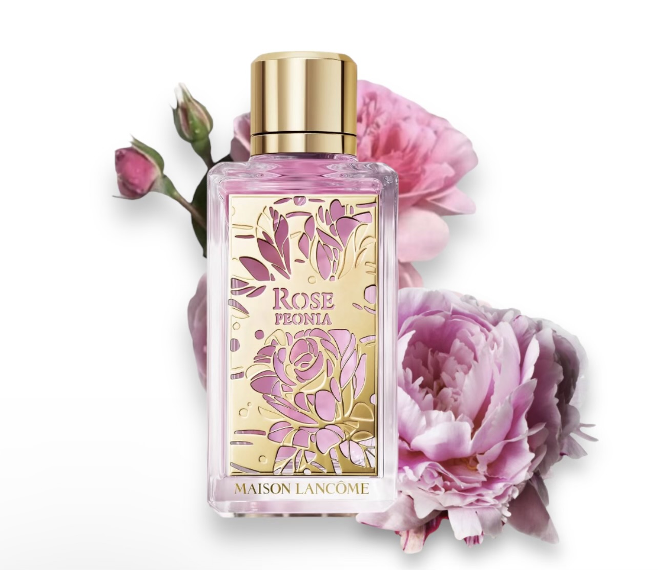 Maison Rose Peonia Eau De Parfum Fragrance Galore